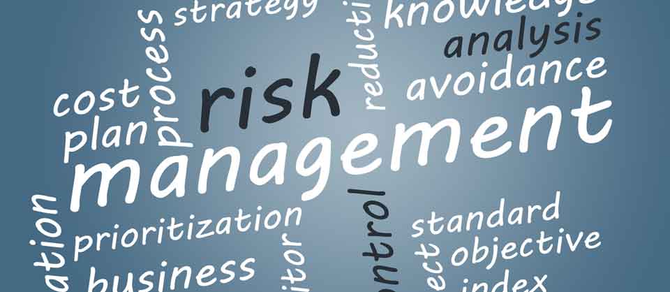 Risk management, analysis, prioritization, analysis, cost planning, strategy